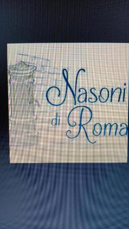 Nasoni Di Roma Aparthotel Екстериор снимка