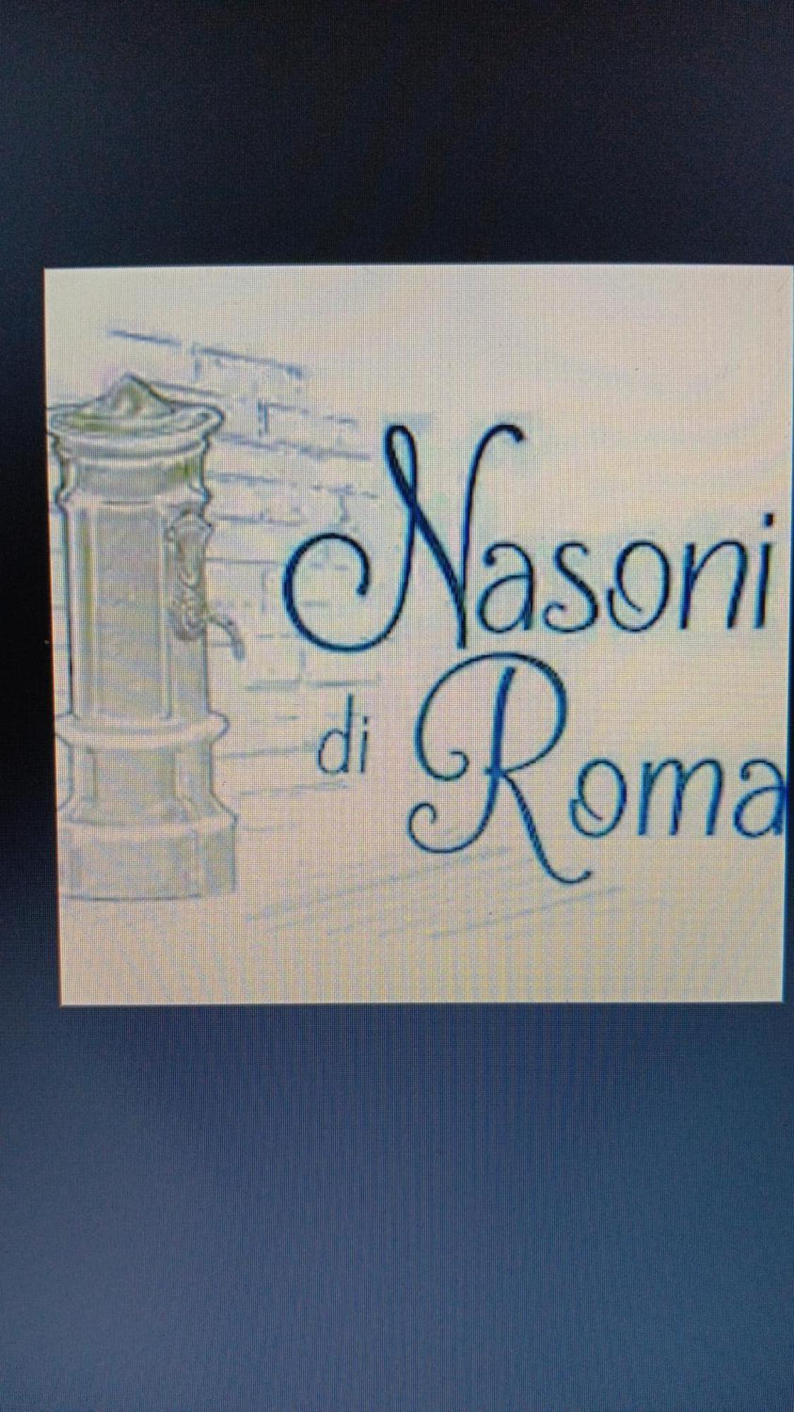 Nasoni Di Roma Aparthotel Екстериор снимка